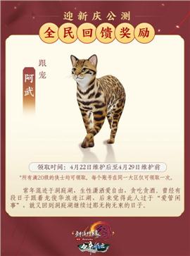 天龙八部私服包裹补丁